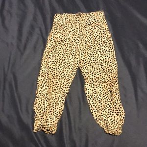 3T leopard print jogger pants